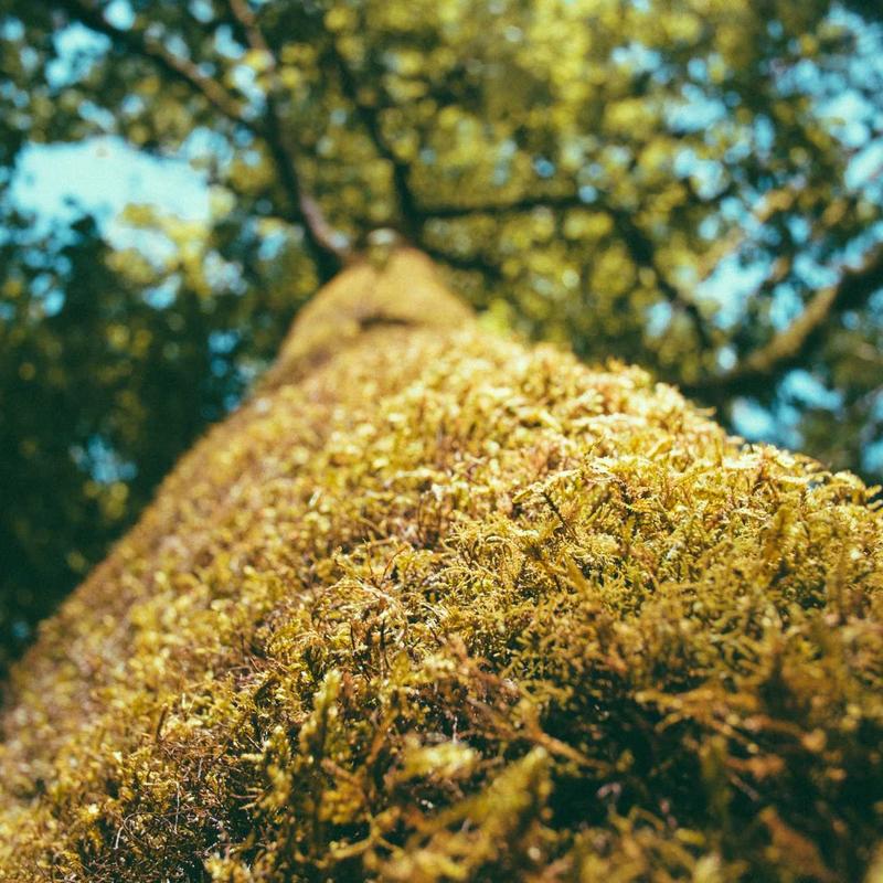 Comfort Galaxy Ultra Pro 9
