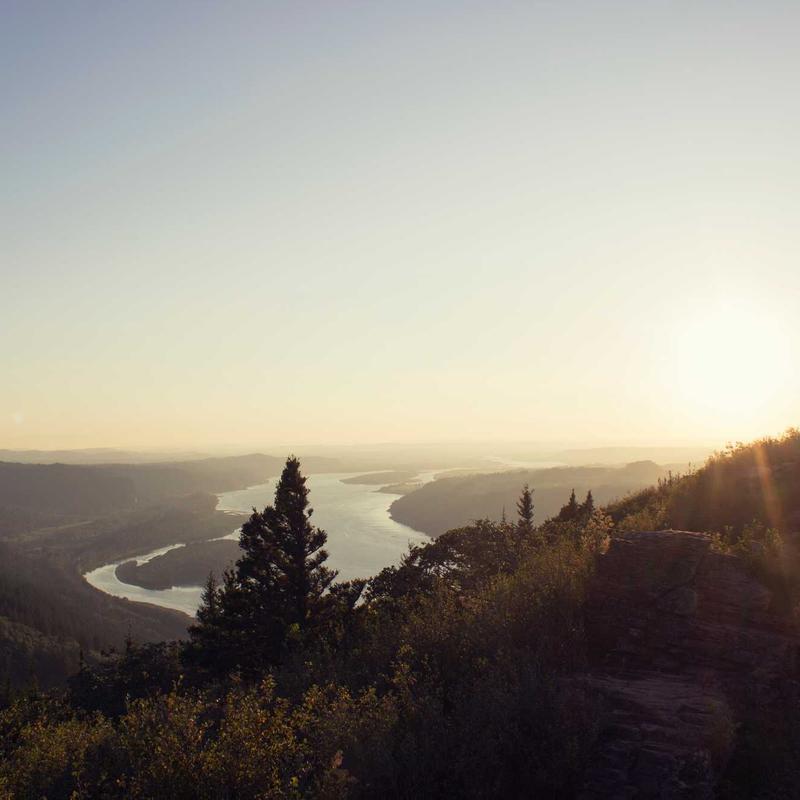 Eco Self-Help Guide 8